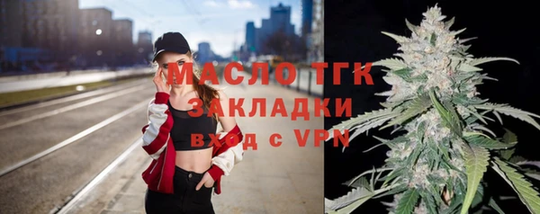 гашик Надым