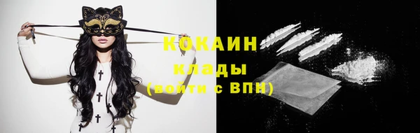гашик Надым