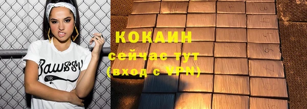 гашик Надым
