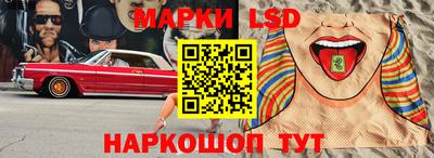 дмт Донской