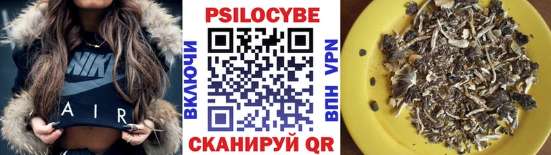 закладка блэк спрут зеркало Галлюциногенные грибы ЛСД Саратов