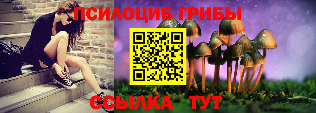 Саратов  Псилоцибиновые грибы Magic Shrooms  как найти наркотики  Галлюциногенные грибы Psilocybe  Вход с VPN 
