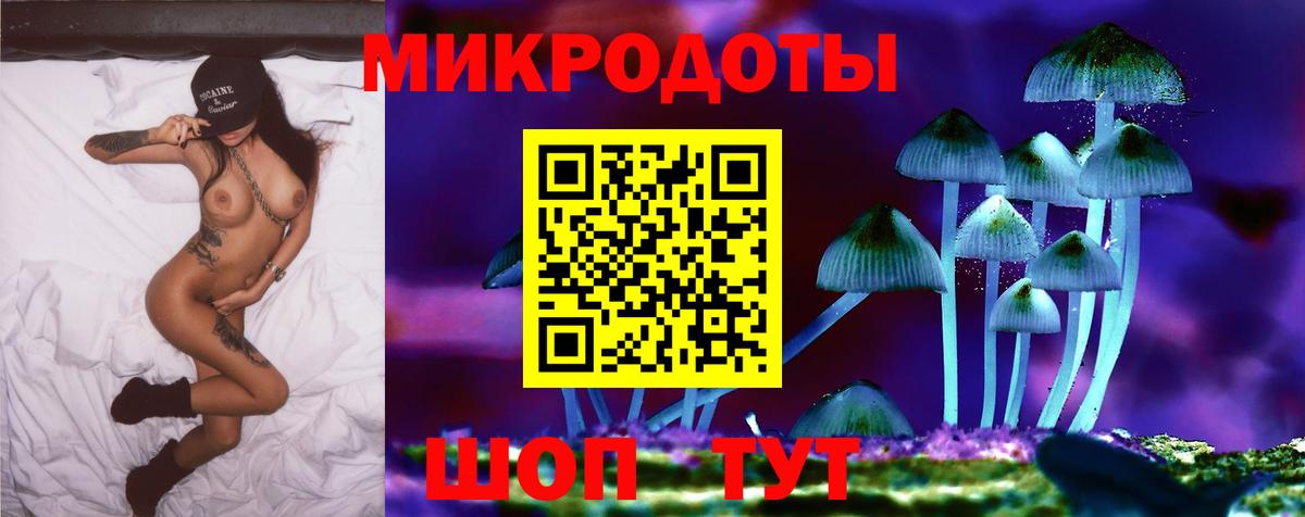 как найти наркотики  Саратов  Псилоцибиновые грибы GOLDEN TEACHER 